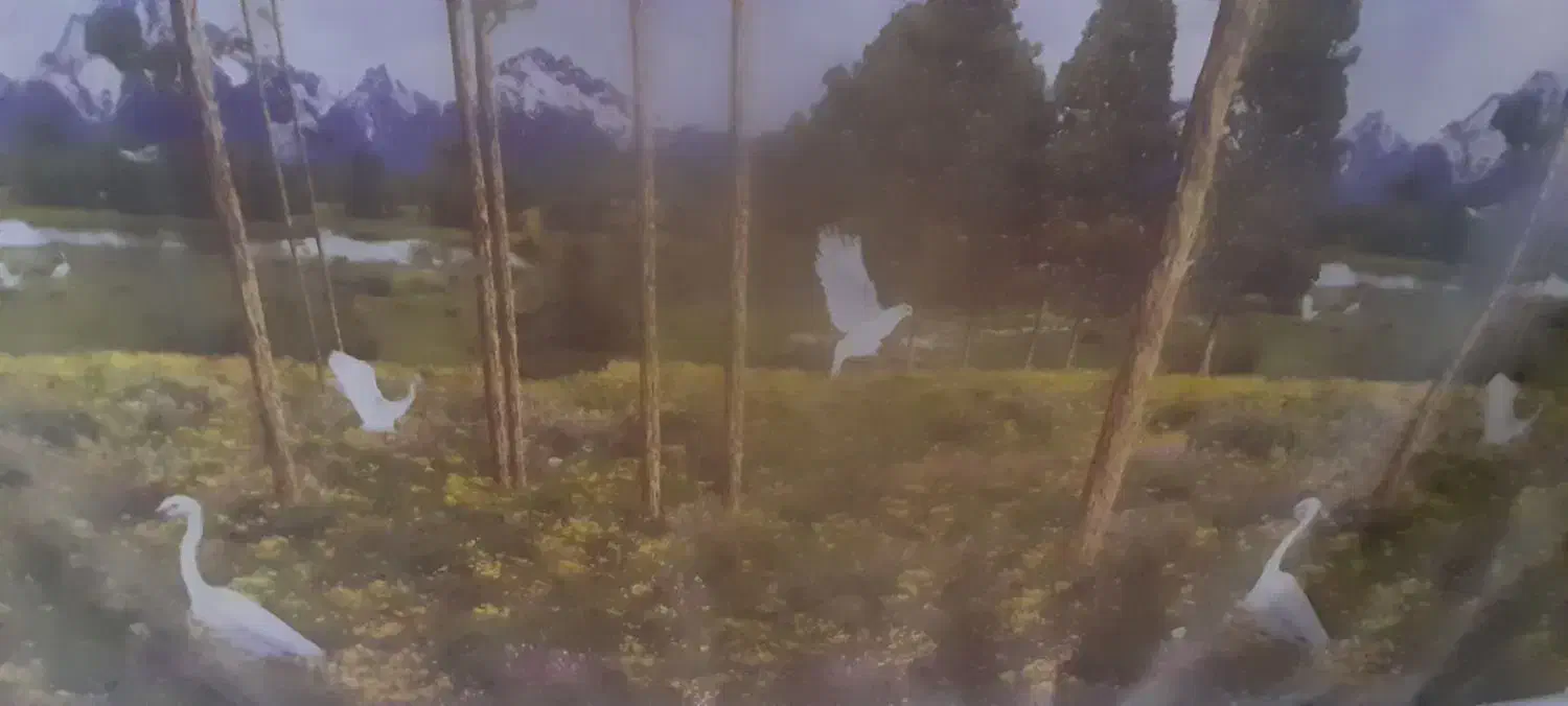 پرده تصویر|پرده، رانر، رومیزی|سلماس, |دیوار