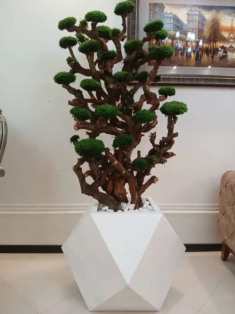 درخت جاودان|گل مصنوعی|تهران, آهنگ|دیوار