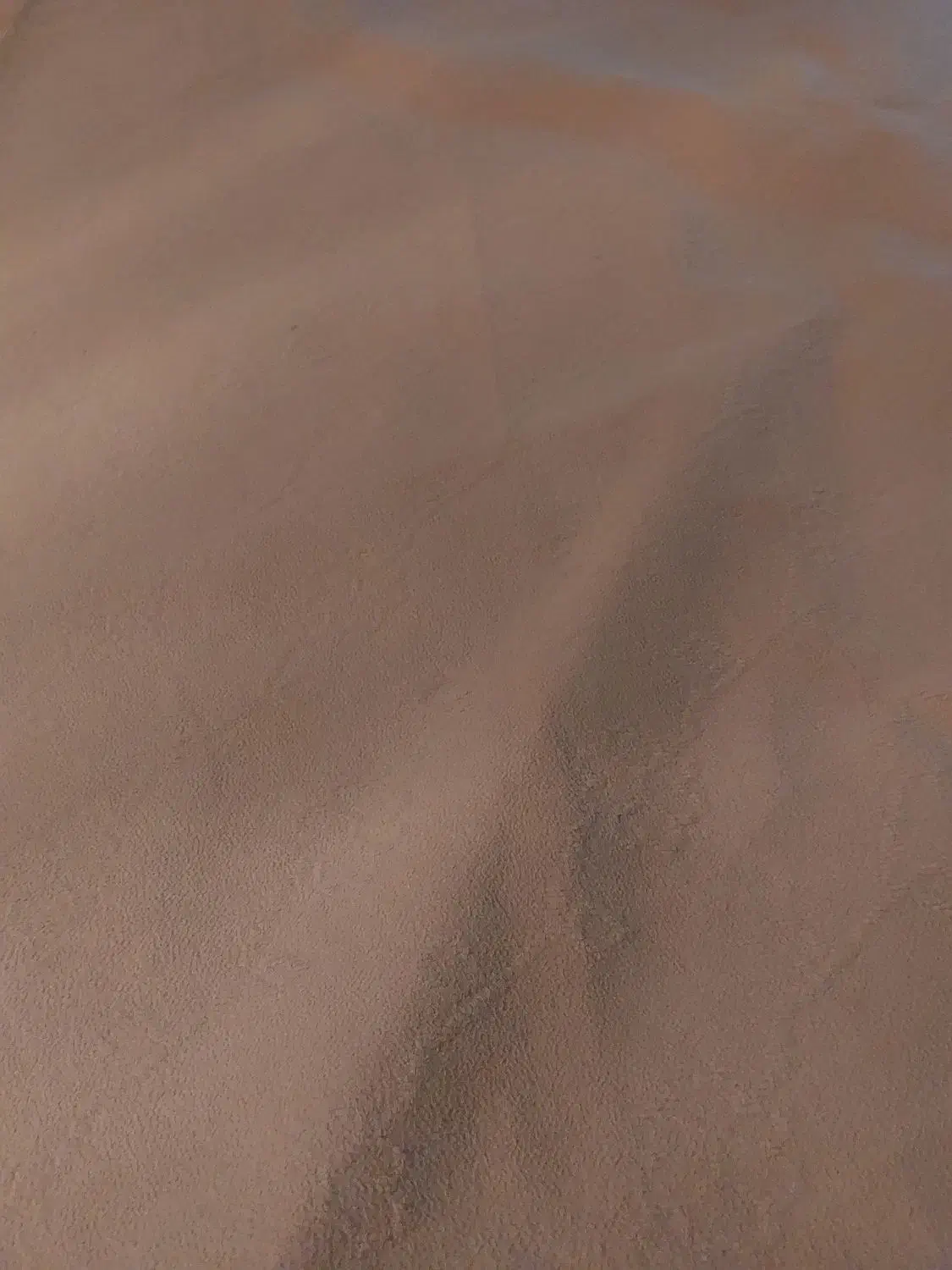 موکت|موکت|مرودشت, بیست متری بیمارستان|دیوار