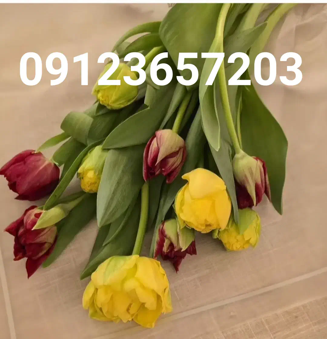 سیم کارت ۹۱۲ کد ۳|سیم‌کارت|تهران, چیتگر شمالی|دیوار