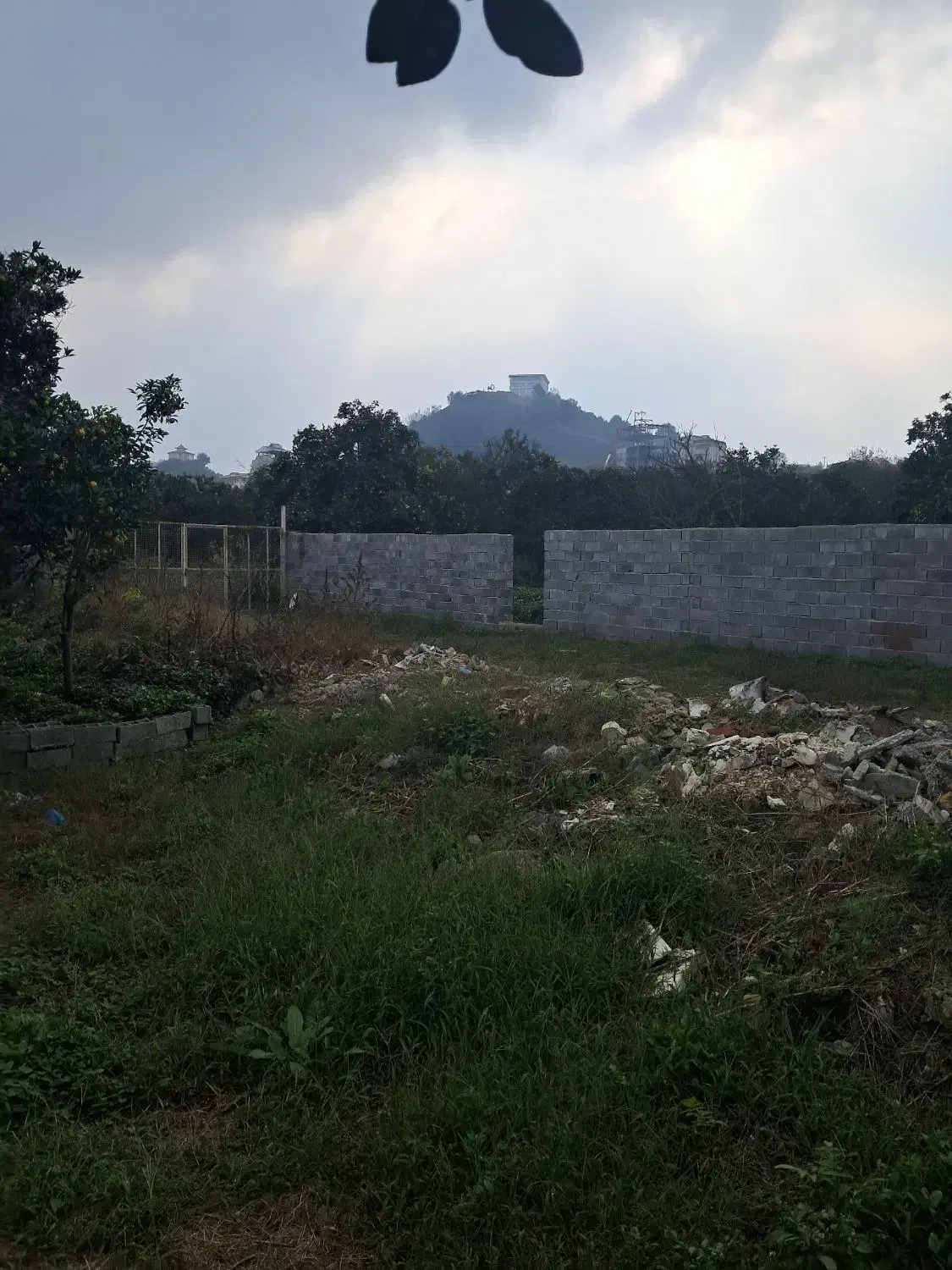 فروش زمین|فروش زمین و ملک کلنگی|کومله, |دیوار