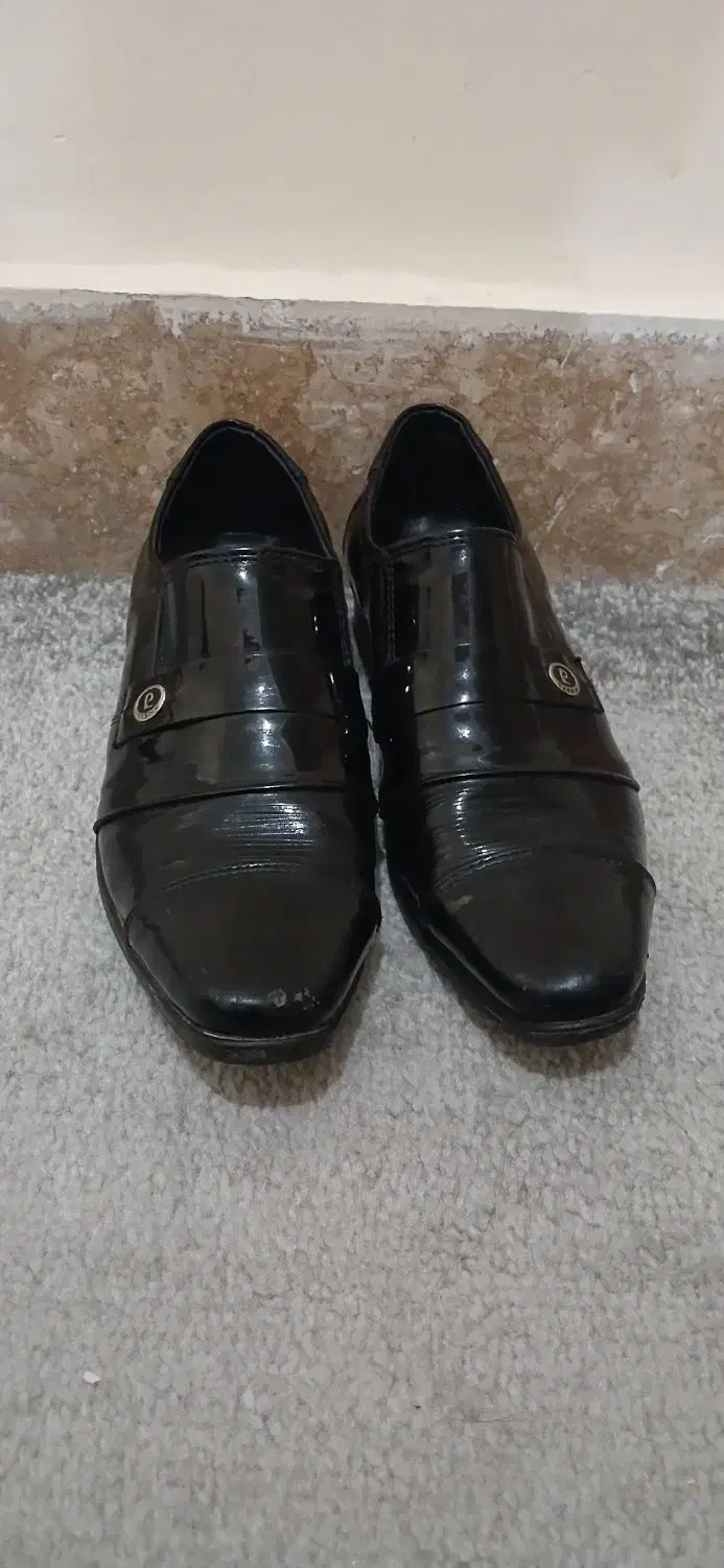 کفش مجلسی|کیف، کفش، کمربند|بندر دیر, |دیوار