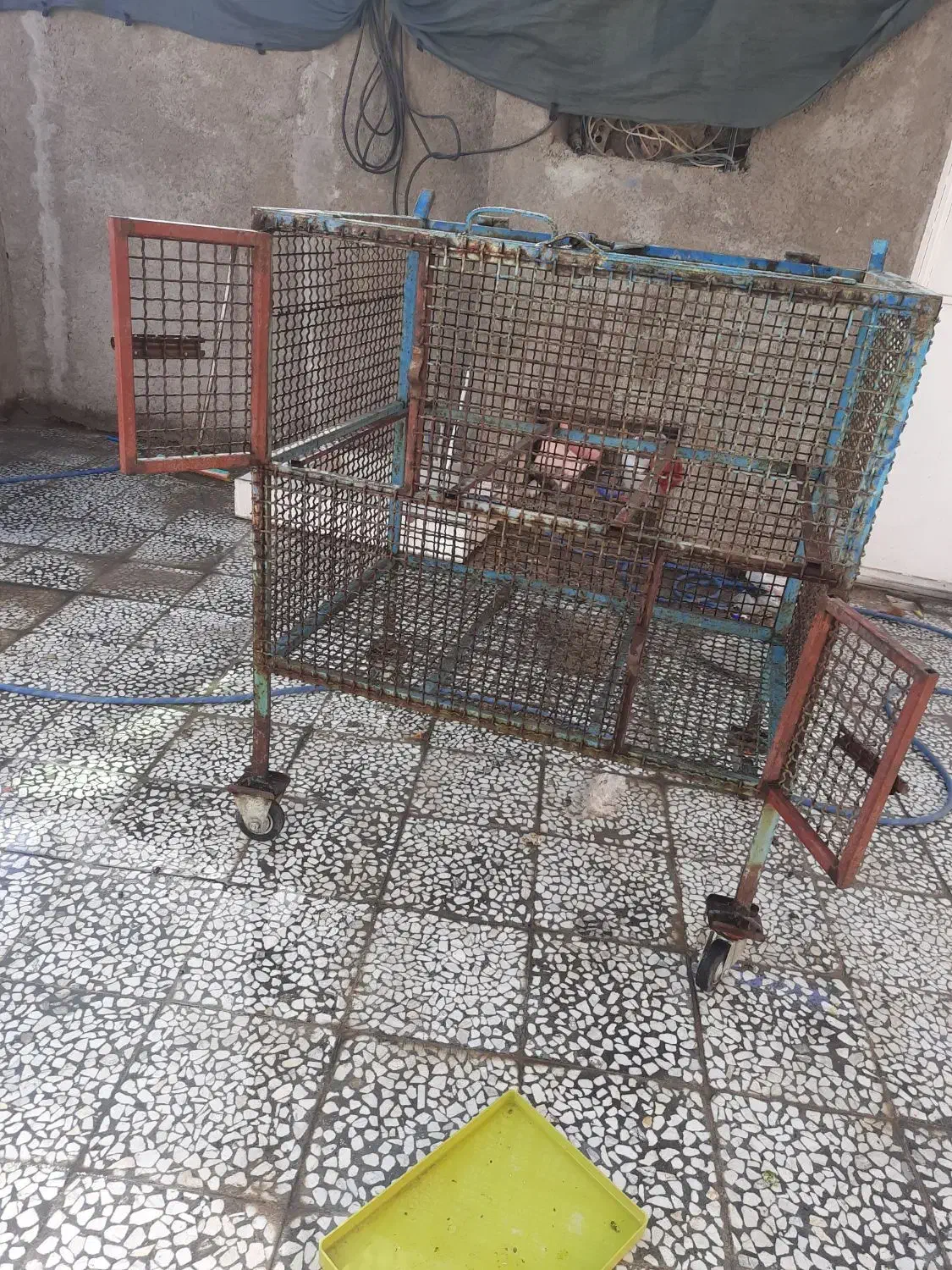 جامرغی بزرگ|لوازم جانبی حیوانات|دهدشت, |دیوار