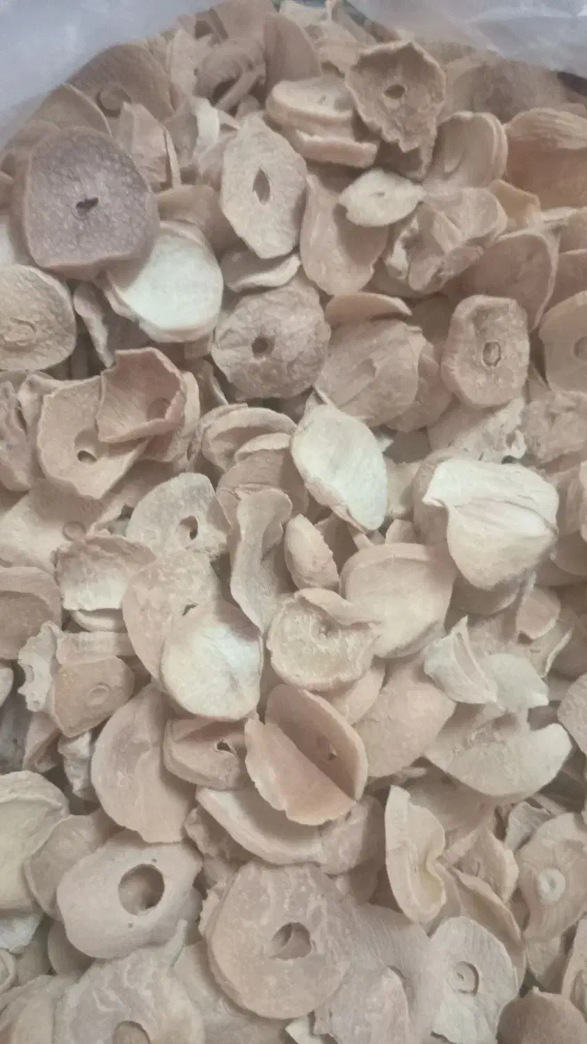 موسیر کوهی|خوردنی و آشامیدنی|قم, شهرک امام حسین|دیوار