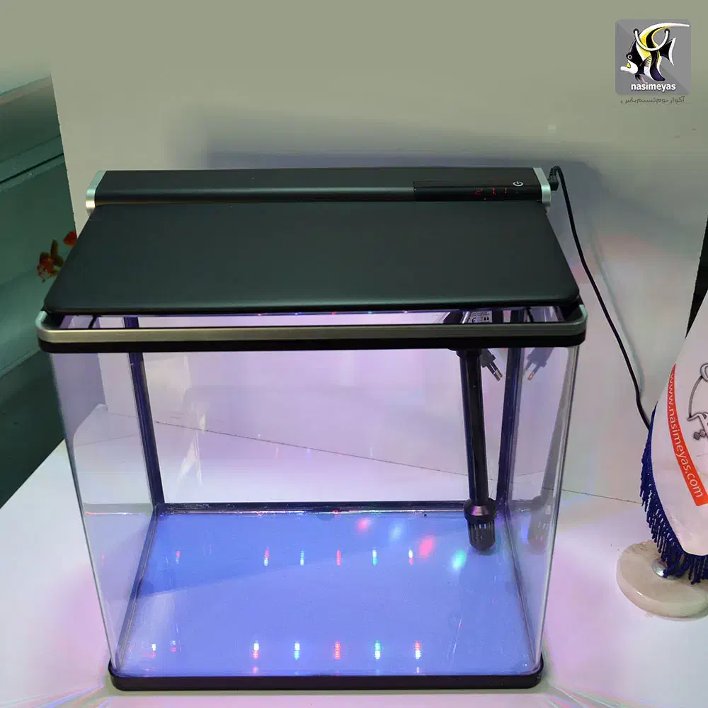 اکواریوم سوبو|ماهی|زابل, |دیوار