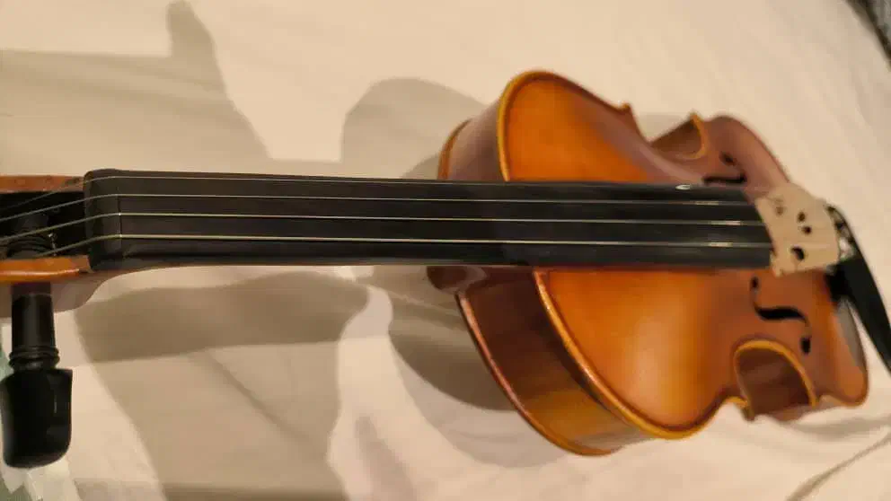 ویولن۴/۴ مدلRt-244|ویولن|کرج, چهارصد دستگاه|دیوار