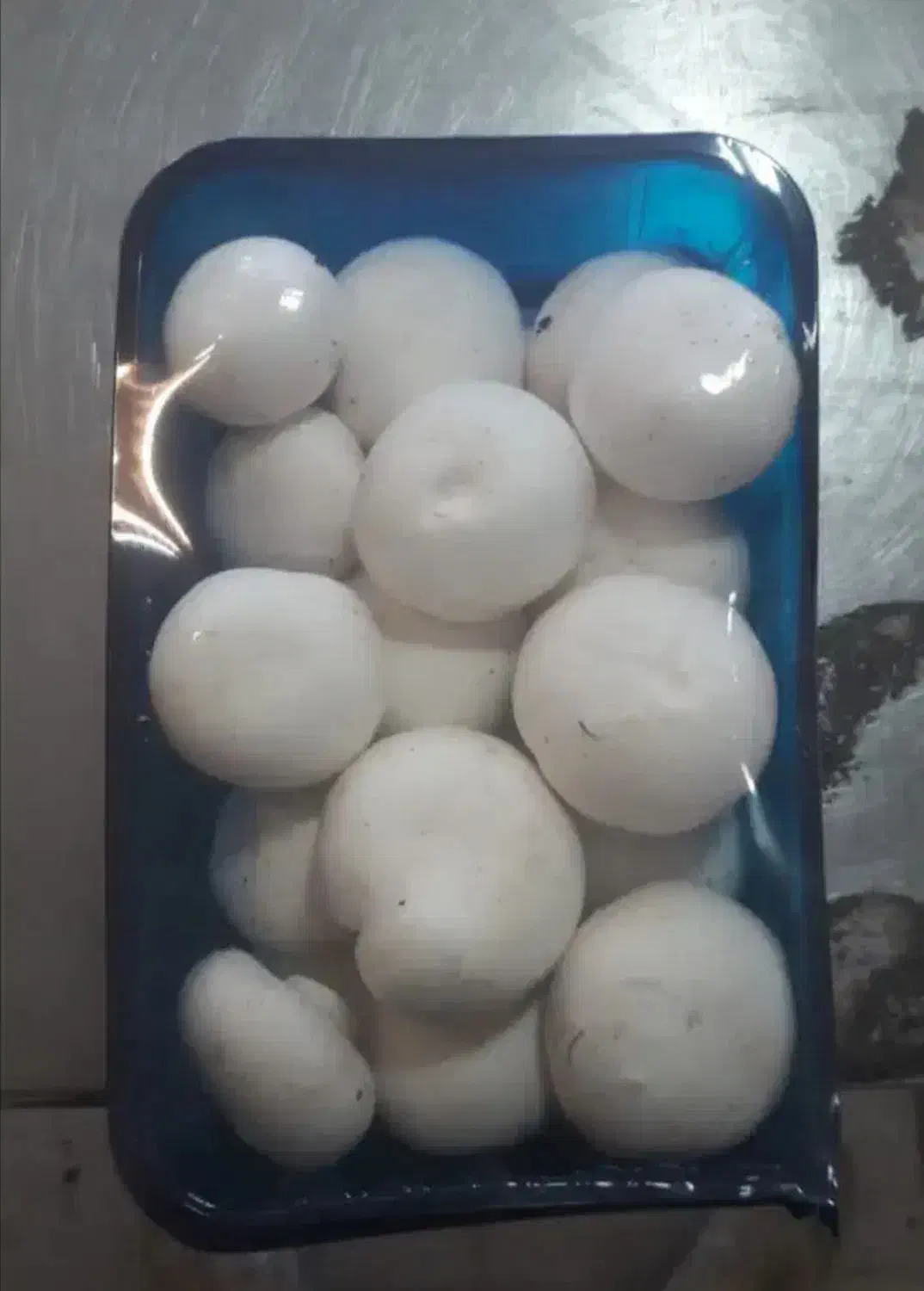 قارچ درجه1به شرط|عمدهفروشی|قم, شهرک طالقانی|دیوار