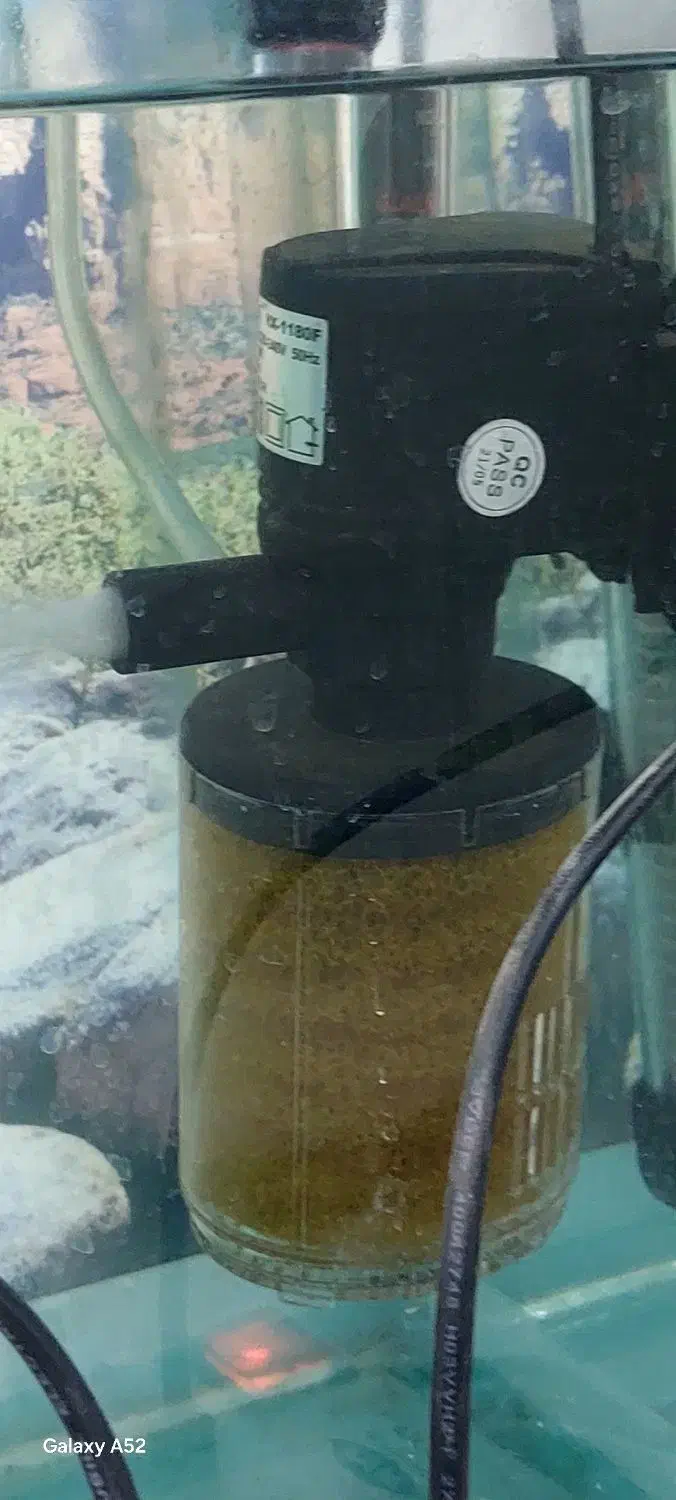 آکواریم و وسایل همراه با ماهی|ماهی|یزد, |دیوار