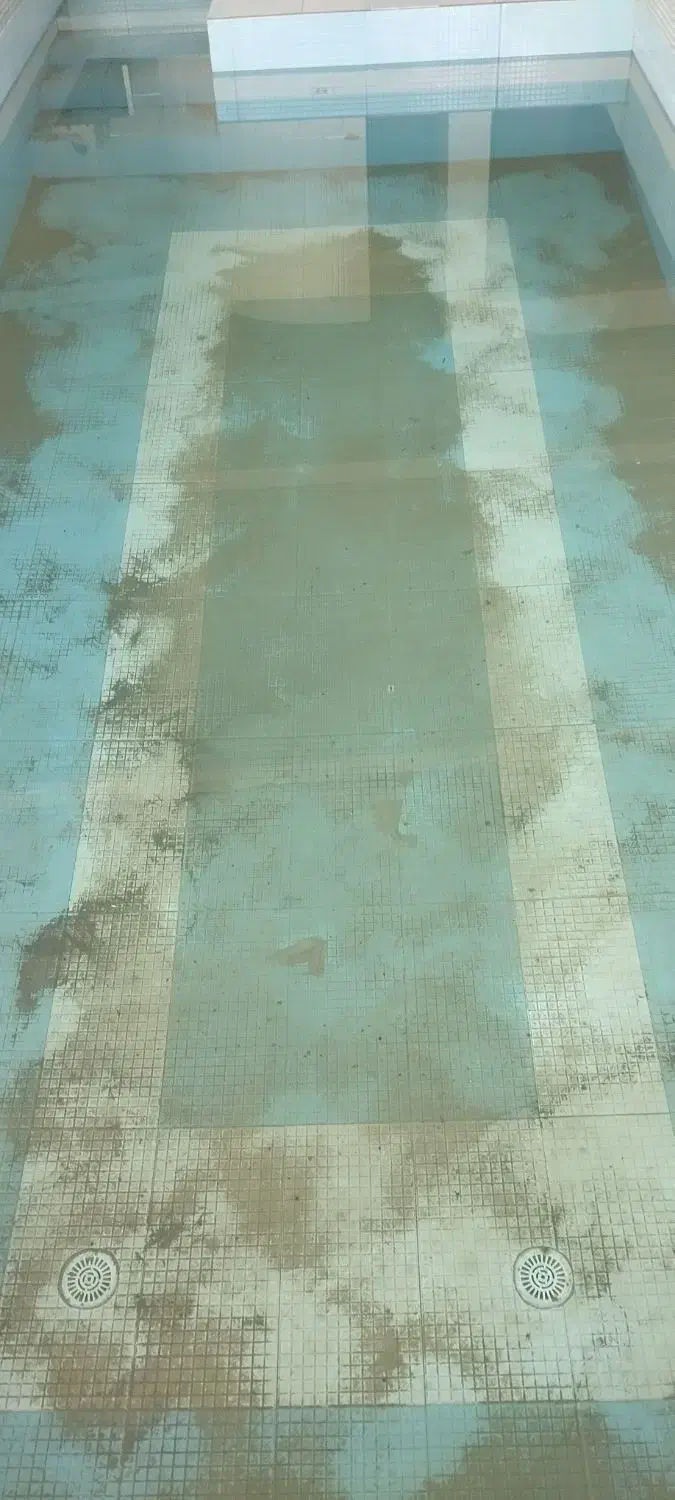 نظافت استخر بک پاشو کار موتورخانه استخر|خدمات نظافت|مشهد, توس (بلوار توس)|دیوار
