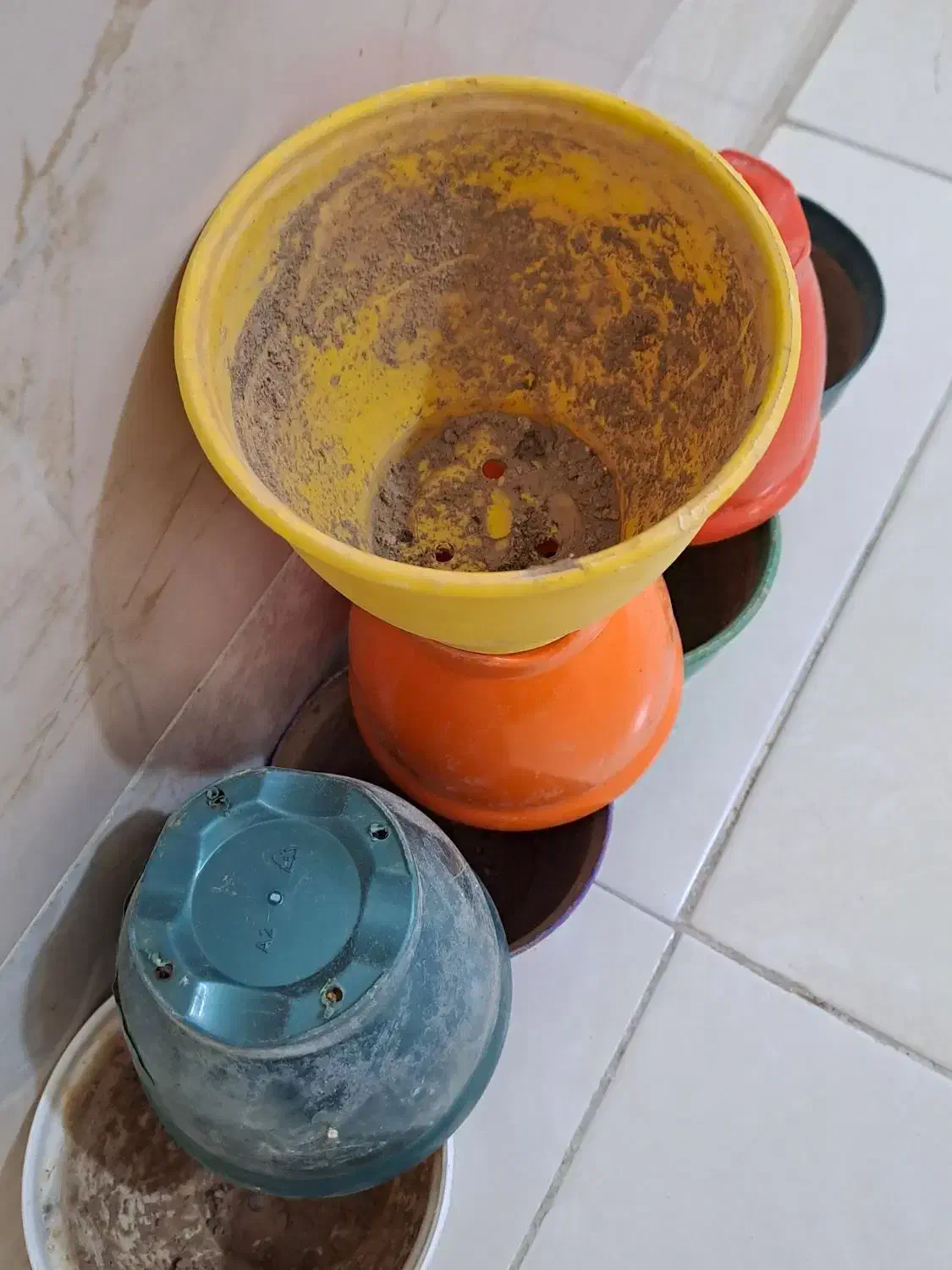 گلدان پلاستیکی|گل و گیاه طبیعی|قم, شاه ابراهیم|دیوار