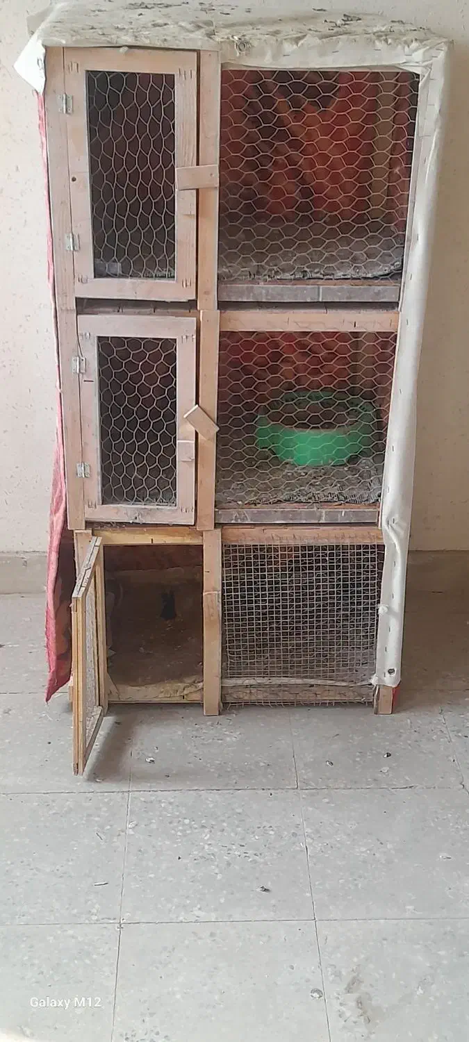 سه عدد جفت کن سالم اهنی با دوتا چوبی|لوازم جانبی حیوانات|شاهین‌شهر, سعدی جنوبی|دیوار