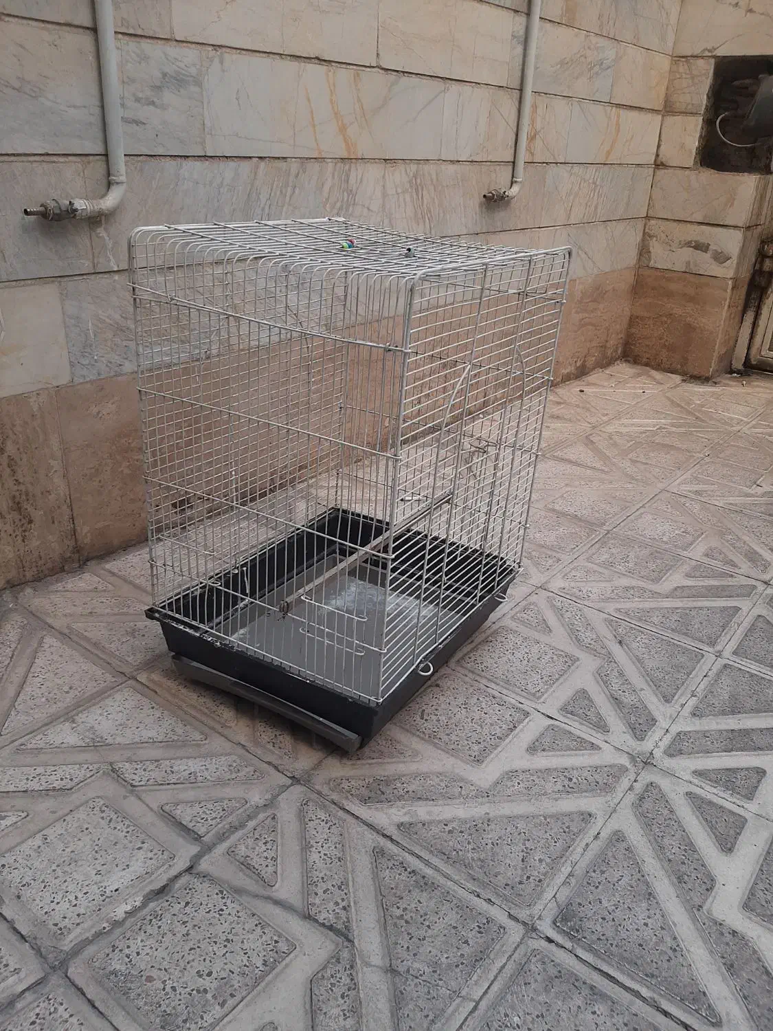 قفس پرنده بزرگ سایز ۵۰ در ۵۰|لوازم جانبی حیوانات|ری, حمزهآباد|دیوار