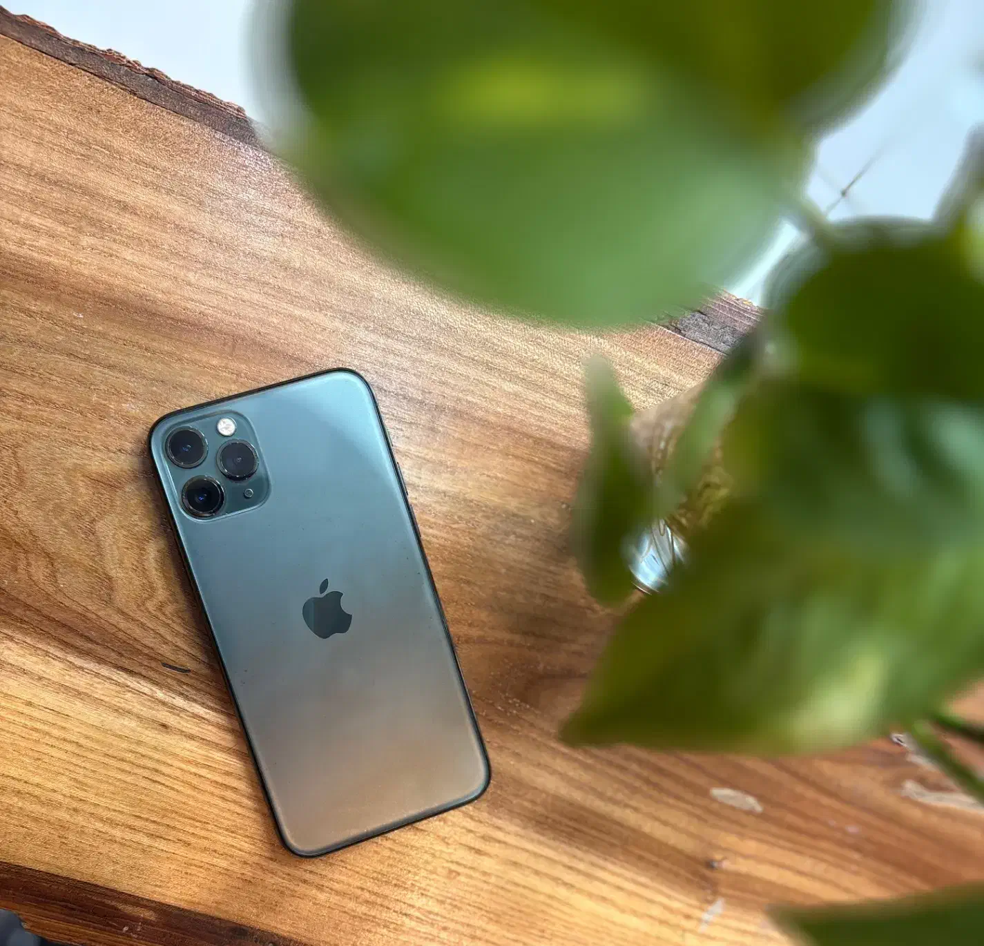 آیفون ۱۱ پرو|موبایل|اصفهان, شاهزید|دیوار