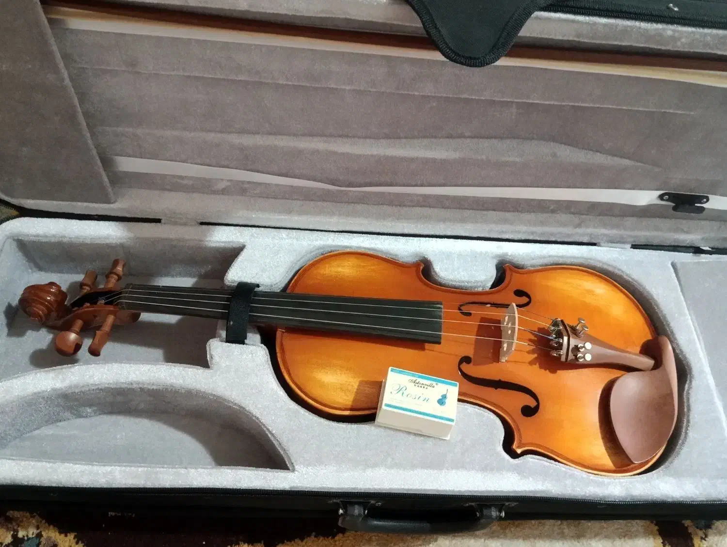 ویولن|ویولن|لامرد, |دیوار