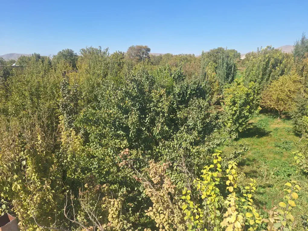 فروش زمین ۱۵۰۰ متری ملایر|فروش زمین و ملک کلنگی|ملایر, |دیوار