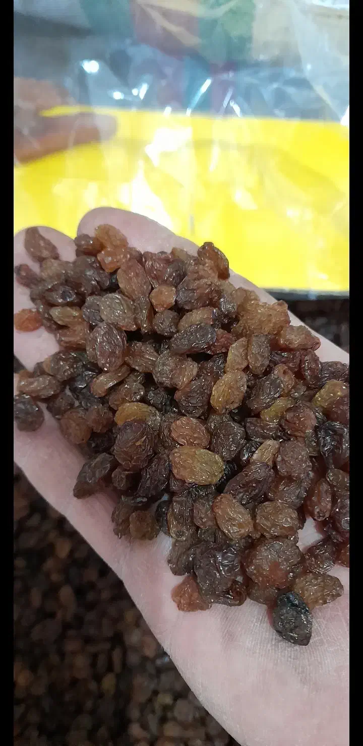 فروش کشمش افتابی و تیزآبی|عمدهفروشی|لنگرود, |دیوار