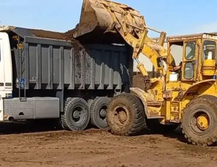 فروش کود گاوی مرغوب|خدمات باغبانی و درختکاری|آبسرد, |دیوار