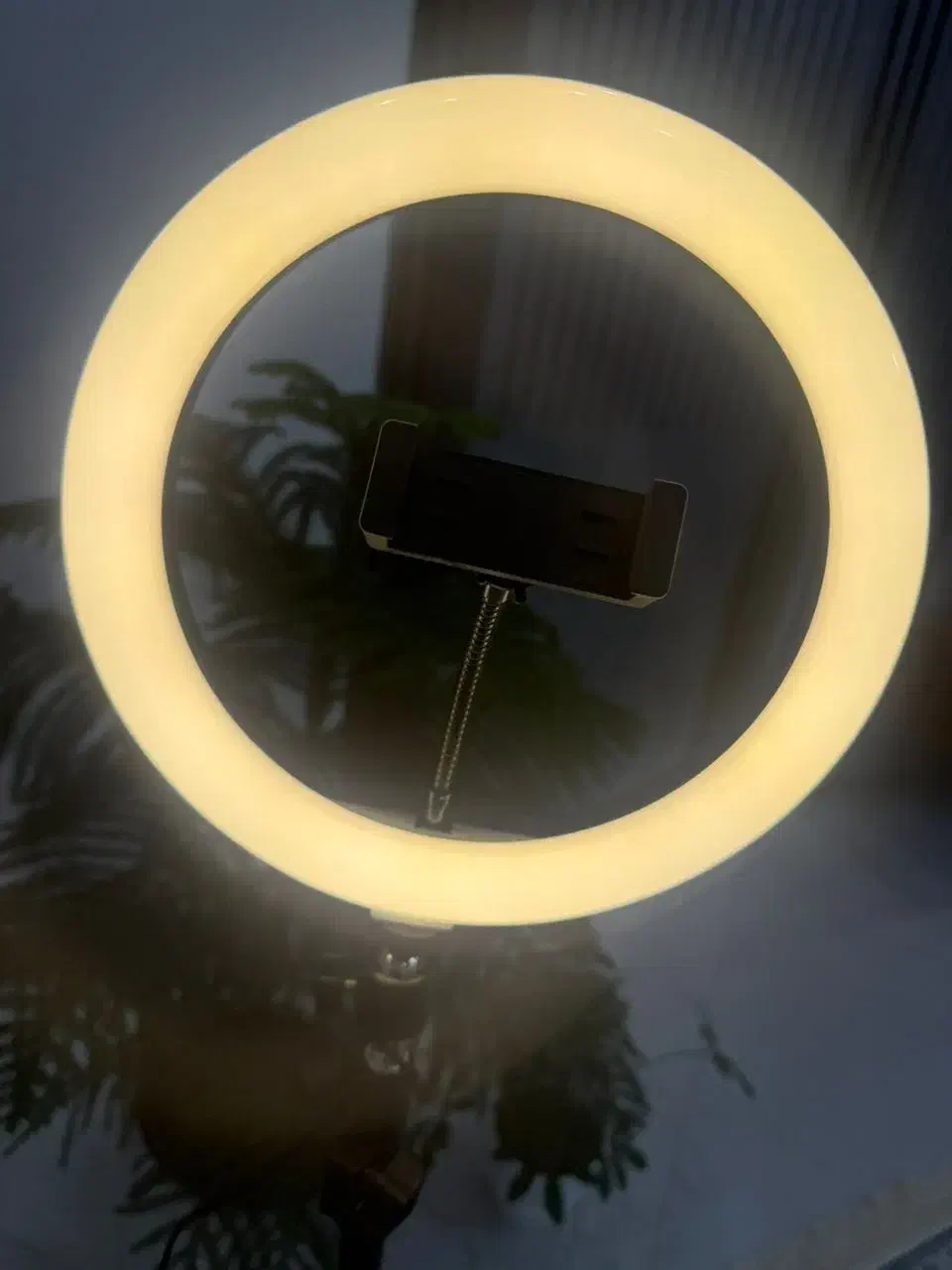 رینگ لایت|دوربین عکاسی و فیلم‌برداری|تهران, فلسطین (میدان انقلاب)|دیوار