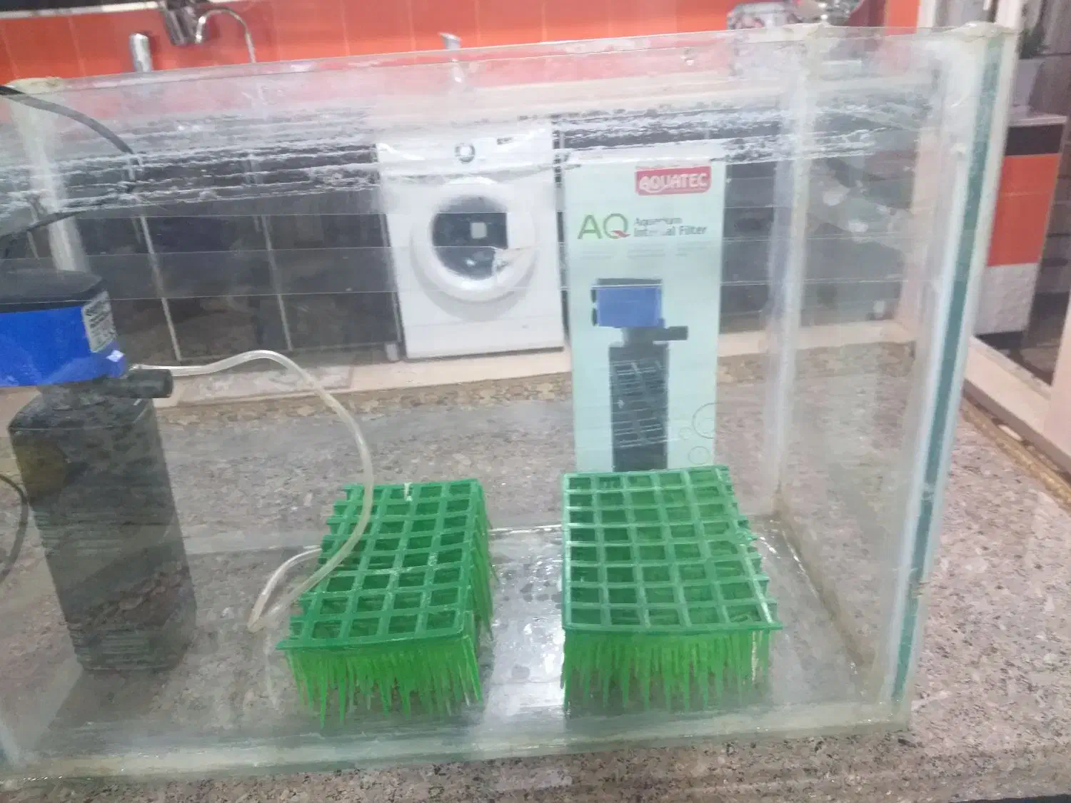 آکواریوم|ماهی|بوکان, |دیوار