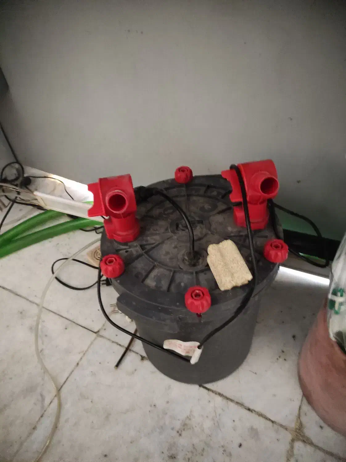 gl 1000دلسا|ماهی|اصفهان, گلزار|دیوار