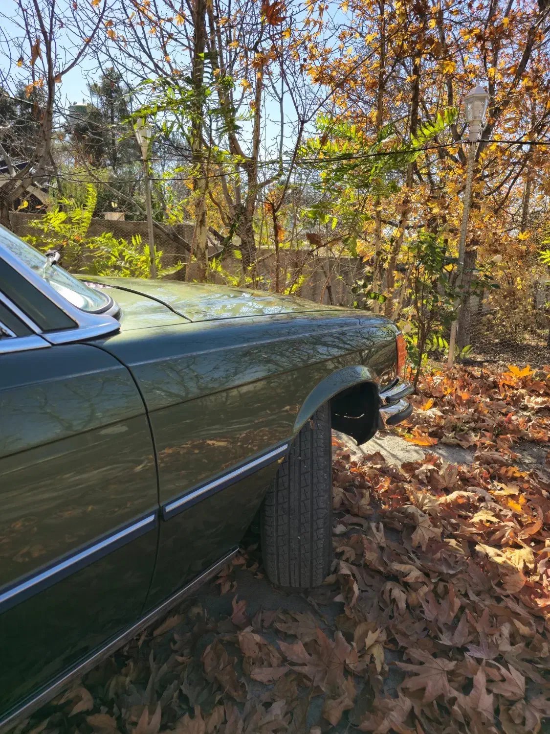 W116 1973|خودرو کلاسیک|کرج, کمال‌شهر|دیوار