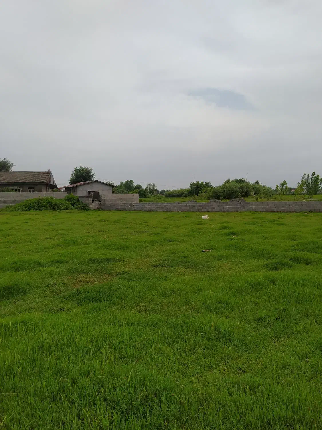 8پلاک زمین سرمایه گذاری سه پلاک موجود|فروش زمین و ملک کلنگی|خشکبیجار, |دیوار