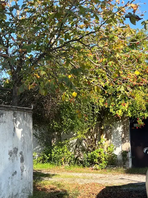 ۳۲۰ متر سند تک برگ ساحلی ایزدشهر مشارکت|مشارکت در ساخت املاک|ایزدشهر, |دیوار