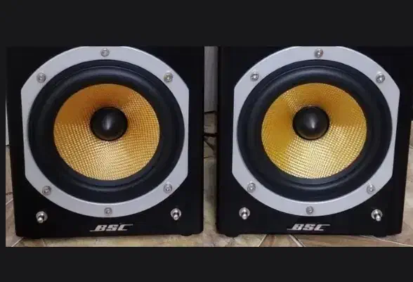 اسپیکر، استند ، باند ادی فایر|سیستم صوتی خانگی|ری, علایین|دیوار