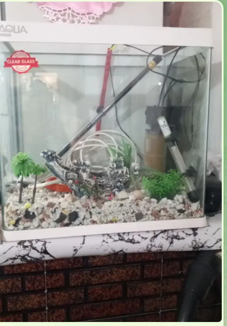 آکواریوم|ماهی|کهریزک, |دیوار