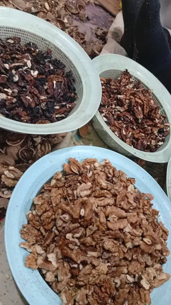 مغز گردو|خوردنی و آشامیدنی|آستارا, |دیوار