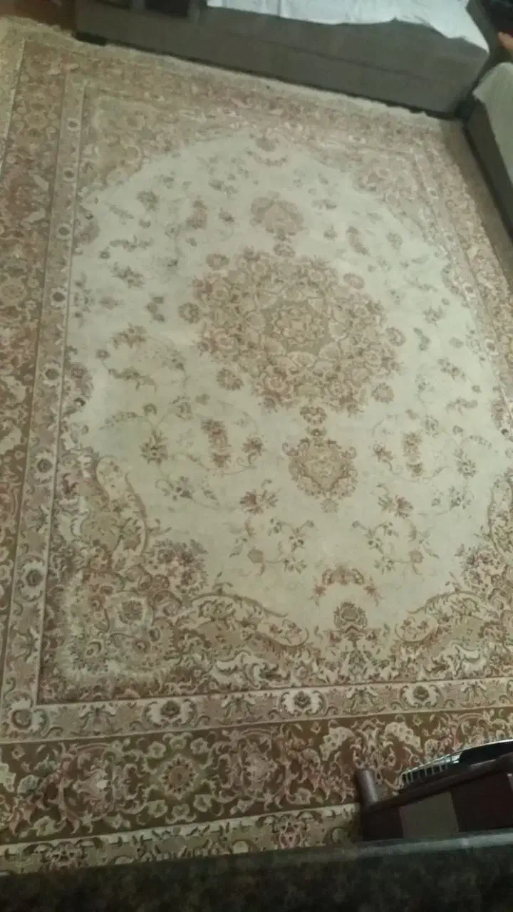 قالی ۹ متری ۷۰۰ شونه|فرش|اهواز, زیتون کارگری|دیوار