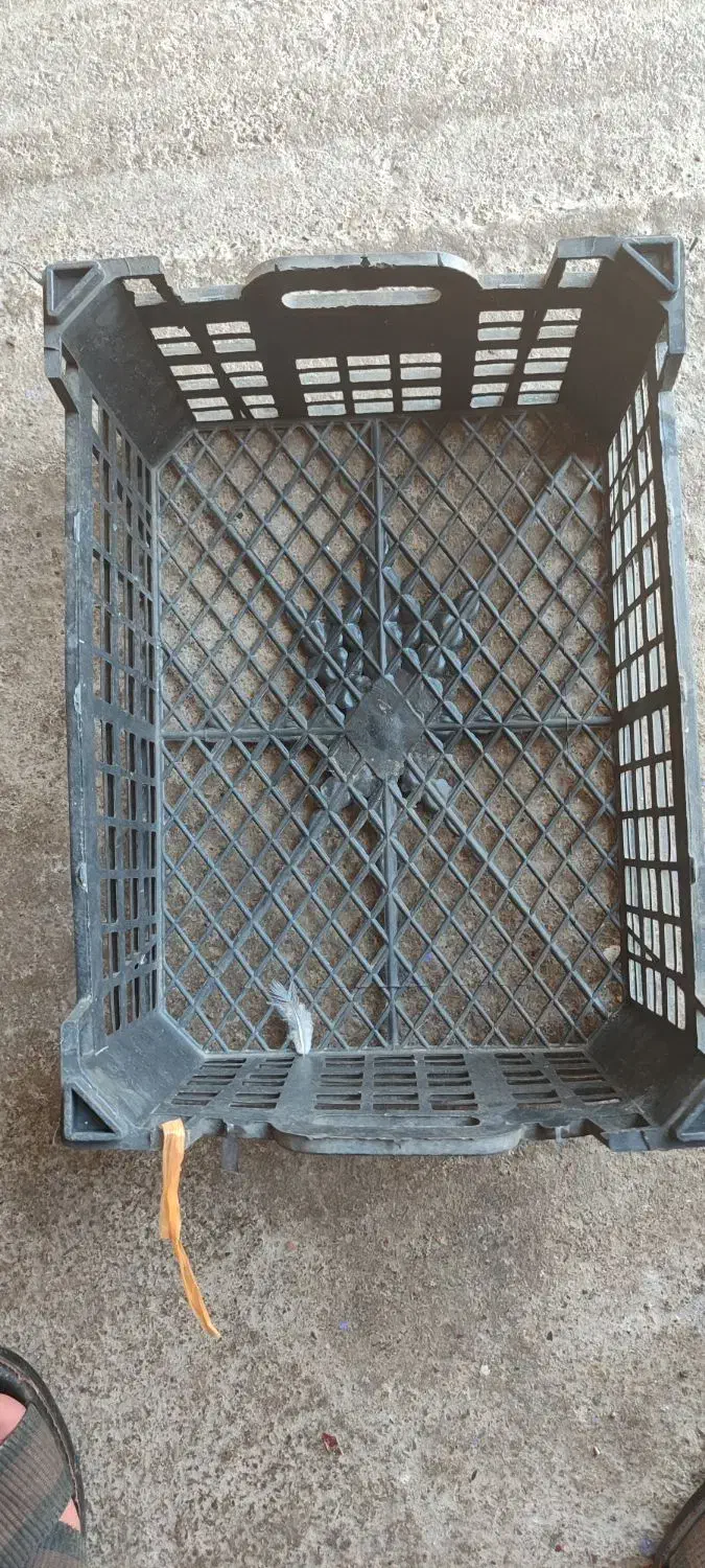 قالب سبد|ابزارآلات|پلدختر, |دیوار