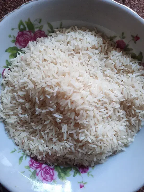 فجر سوزنی امساله درجه ۱|خوردنی و آشامیدنی|گرگان, |دیوار