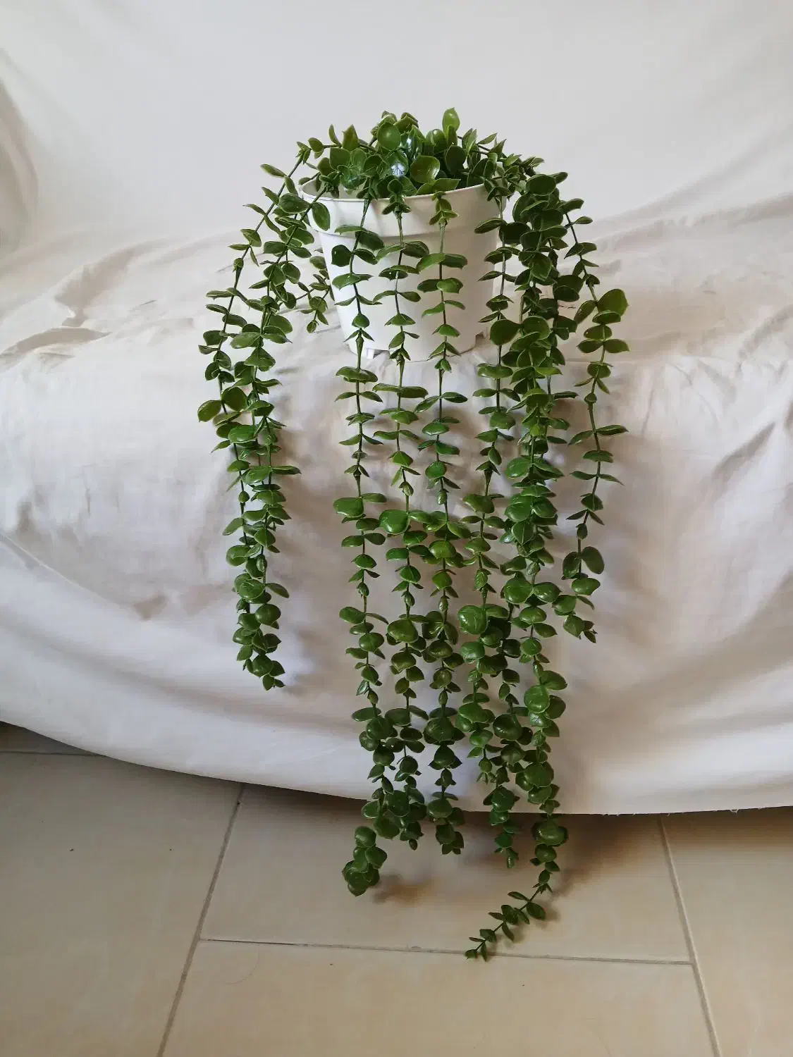 گل ناز یخی مصنوعی|گل مصنوعی|گرگان, |دیوار