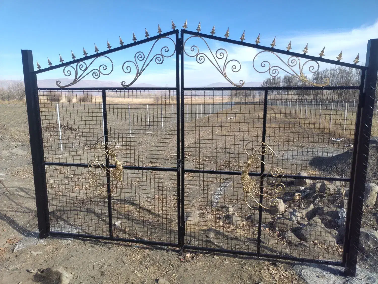 فنس کشی چاله کنی کاشت درخت هرس درختان میوه صنوبر|خدمات باغبانی و درختکاری|بازرگان, |دیوار