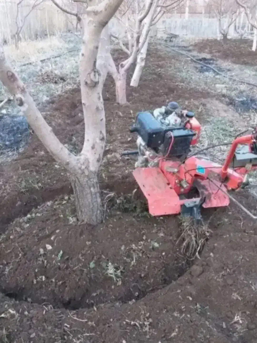 شخم‌زدن‌باتیلر|خدمات باغبانی و درختکاری|سبزوار, توحیدشهر|دیوار