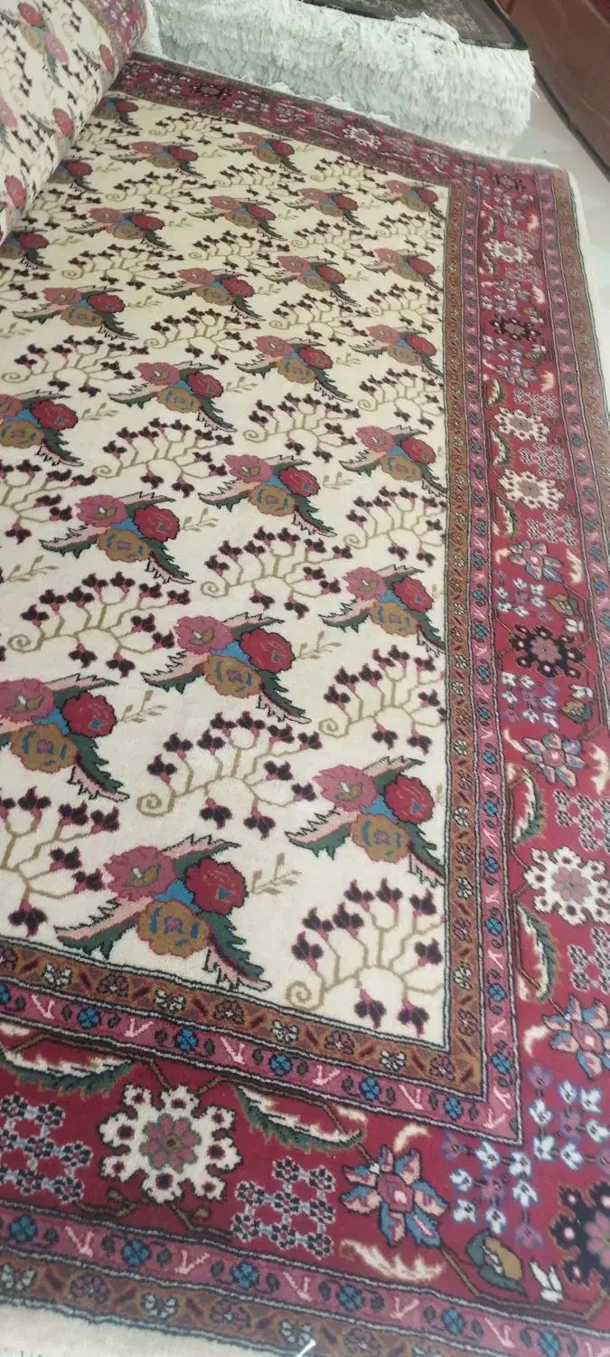 جفت 6متری نقشه روز|فرش|اردبیل, |دیوار