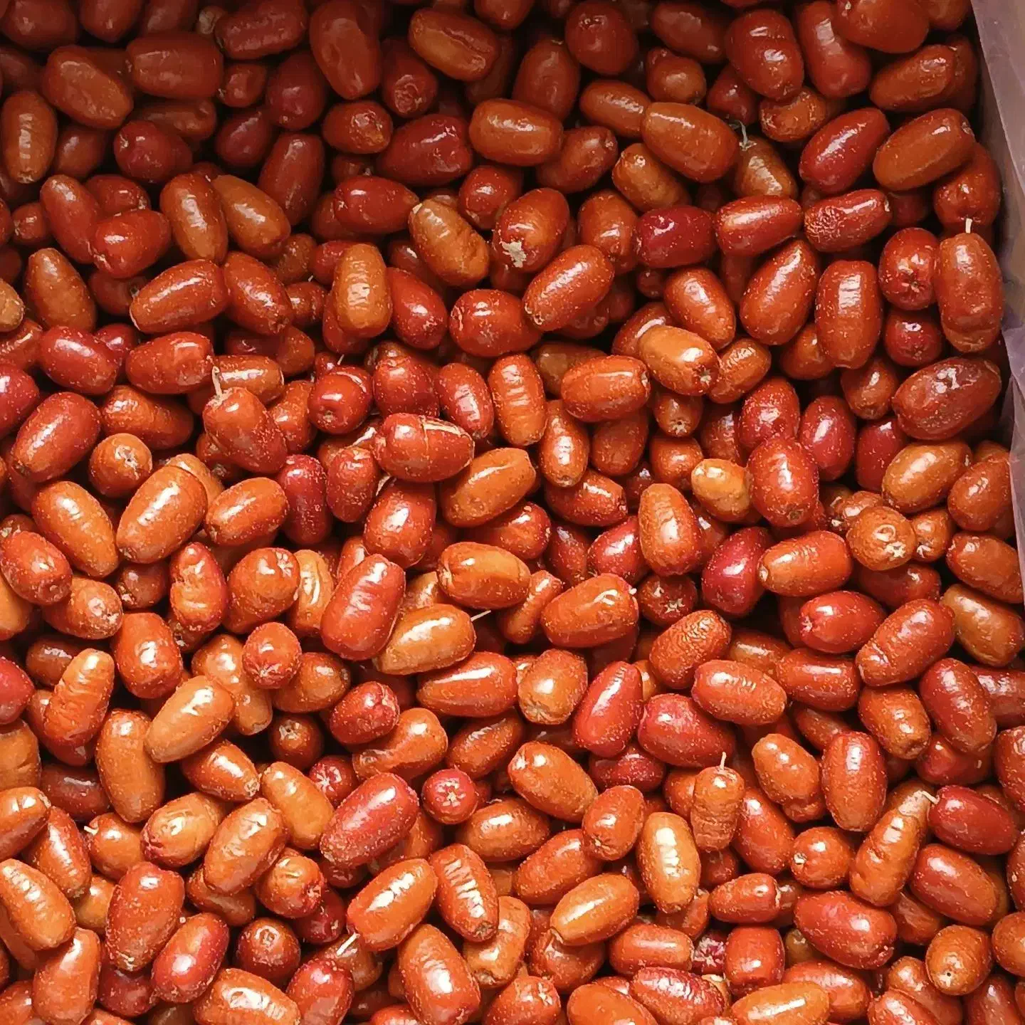 سنجد و هسته سنجد|خوردنی و آشامیدنی|گوگان, |دیوار