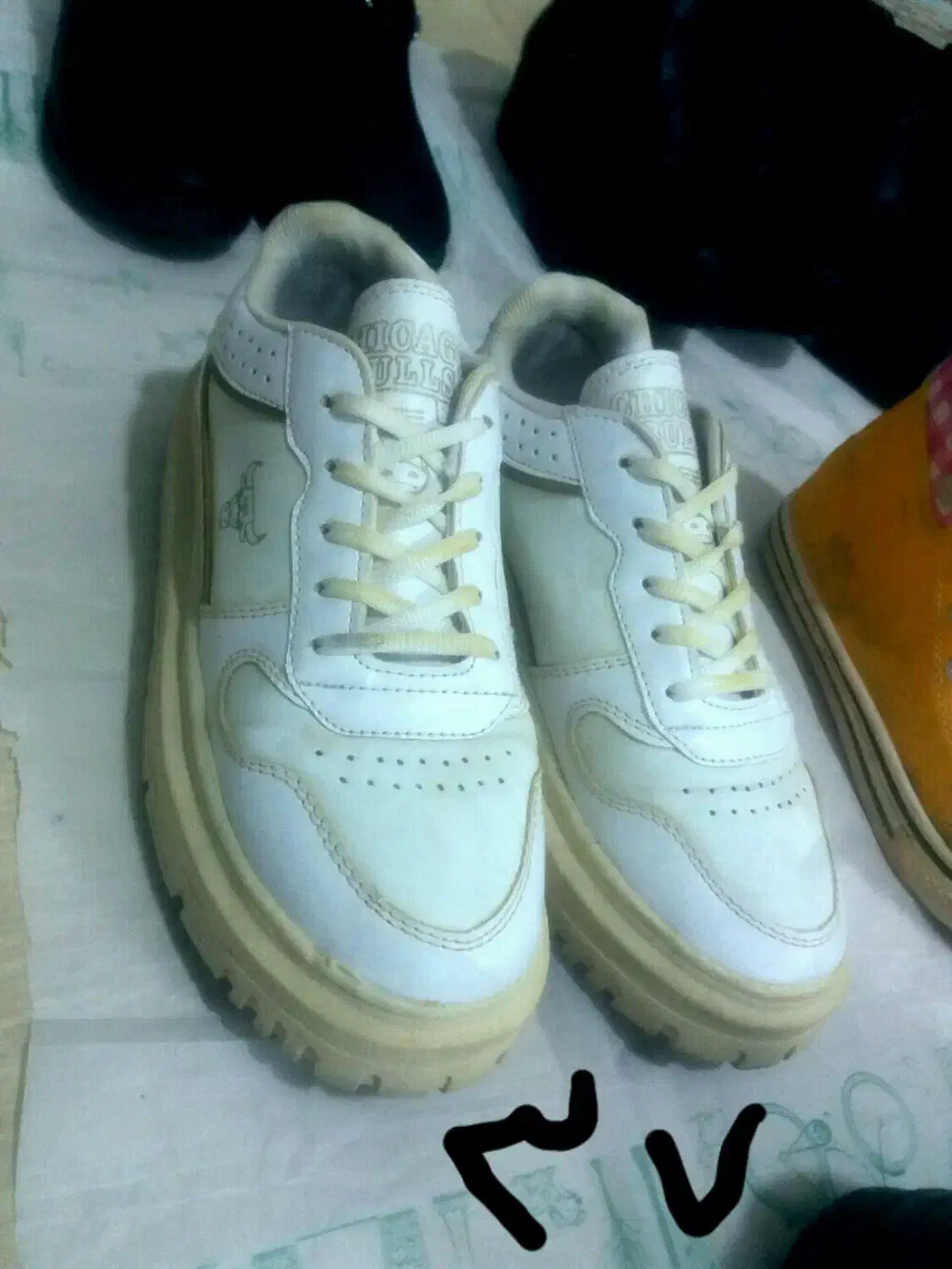 کفش استوک|کیف، کفش، کمربند|نیشابور, مازول|دیوار