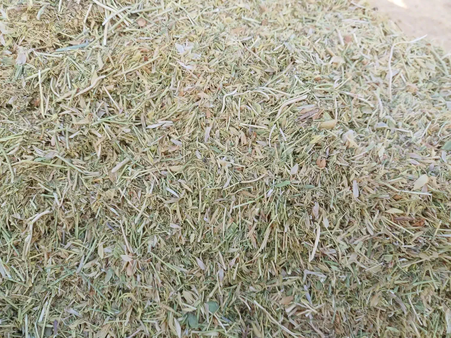 فروش کاه نخود و عدس|لوازم جانبی حیوانات|قیدار, |دیوار