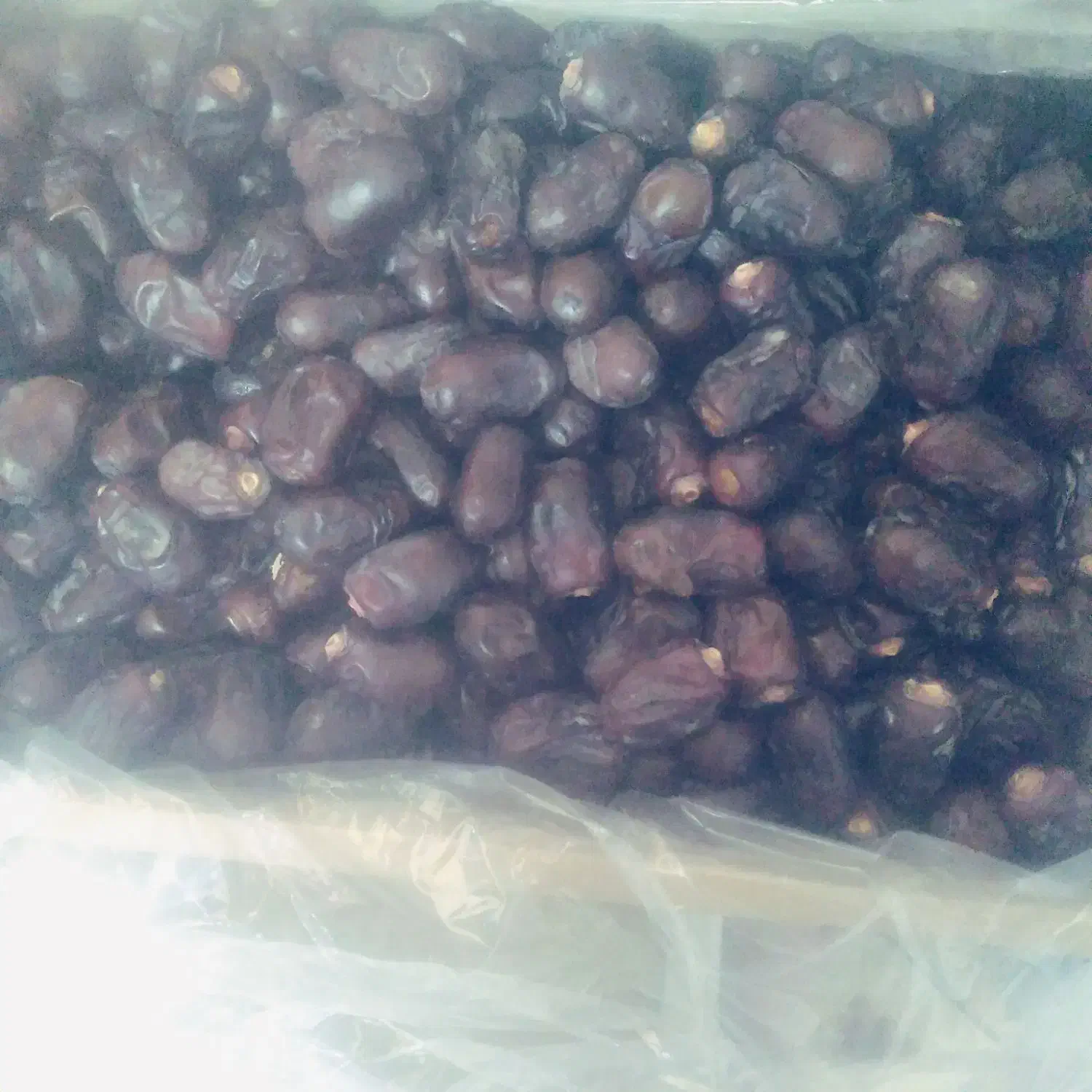 خرما|خوردنی و آشامیدنی|جیرفت, |دیوار