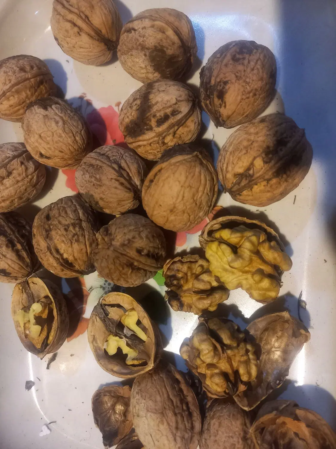 گردو|خوردنی و آشامیدنی|جلفا, |دیوار