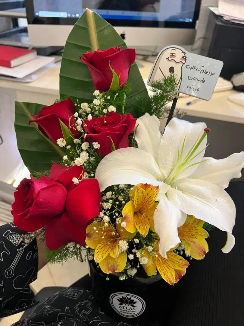 اجاره گاوداری صنعتی|اجارهٔ دفتر صنعتی، کشاورزی، تجاری|هفدر, |دیوار