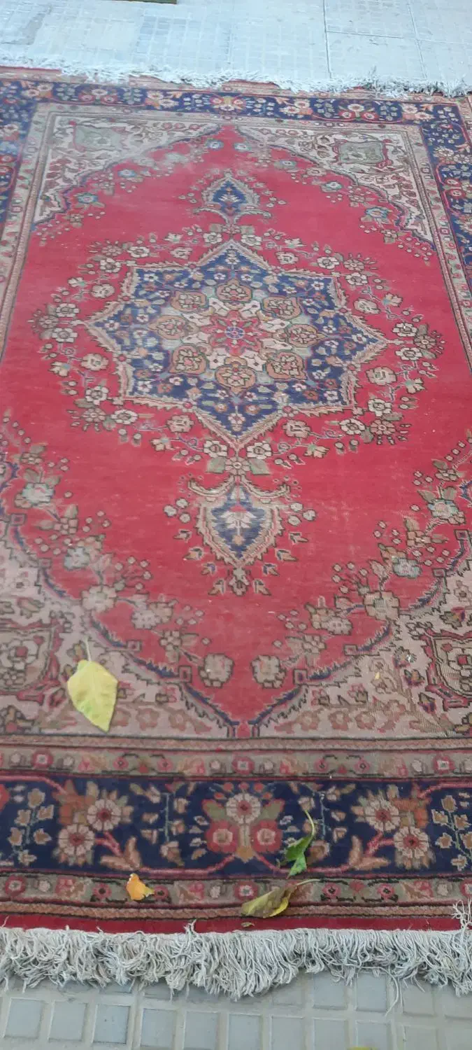 فرش کهنه دودرسه جفت|فرش|اردبیل, |دیوار