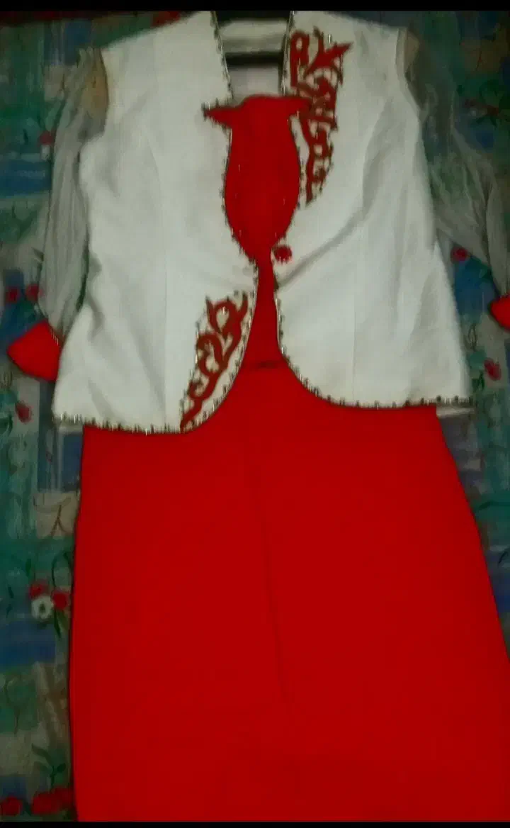 تعدادی لباس وکیف|لباس|مرند, |دیوار