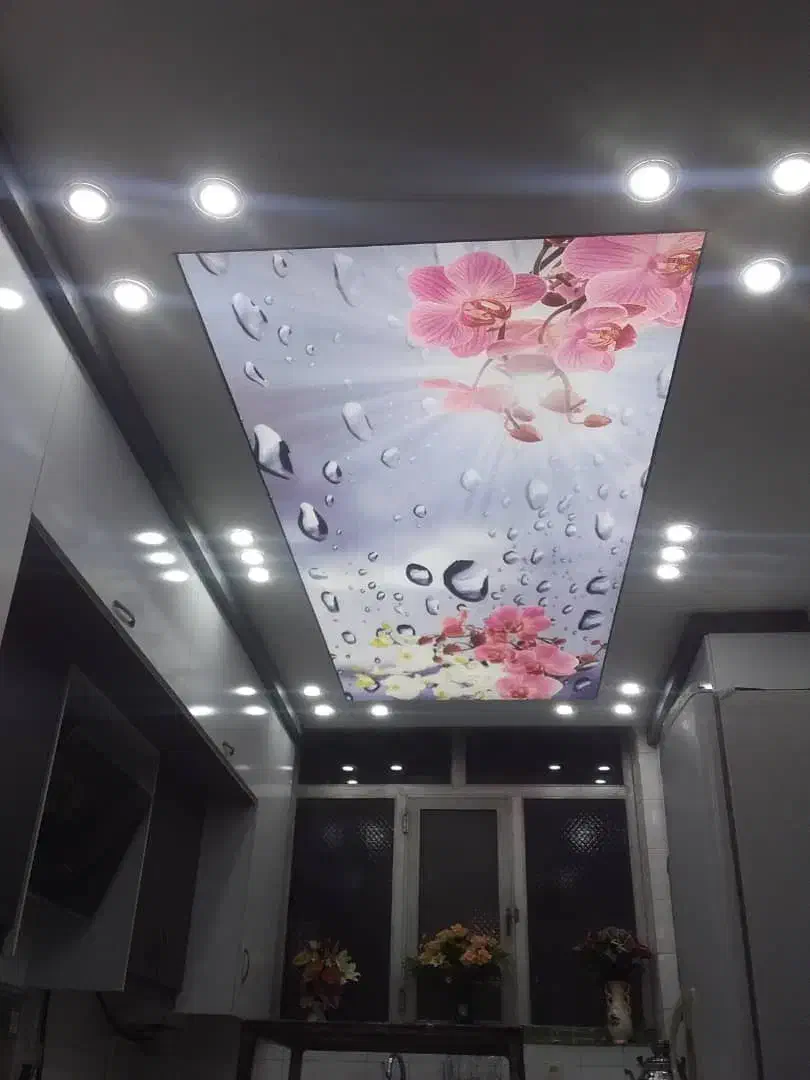 اجرای کشسان سقف کاذب کناف اینه دکوراتیو|خدمات پیشه و مهارت|سراوان, |دیوار