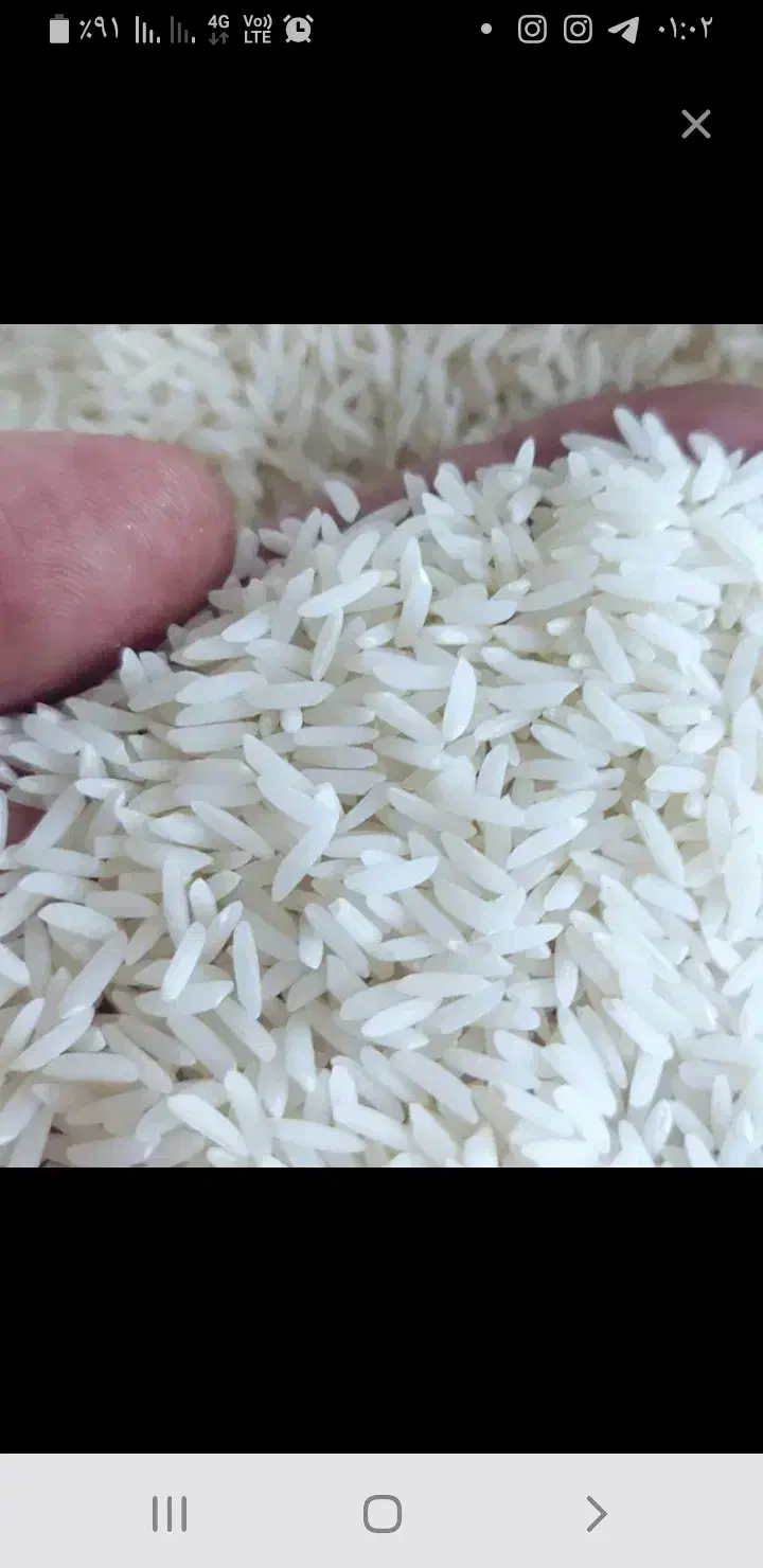 برنج|خوردنی و آشامیدنی|کلاچای, |دیوار