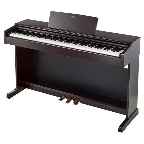 کد۸۸۷۸  Ydp145 Yamaha|پیانو، کیبورد، آکاردئون|تهران, آبشار|دیوار