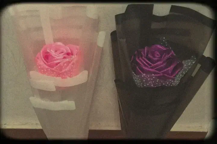 گل ربانی|گل مصنوعی|رشت, کوی مهر|دیوار