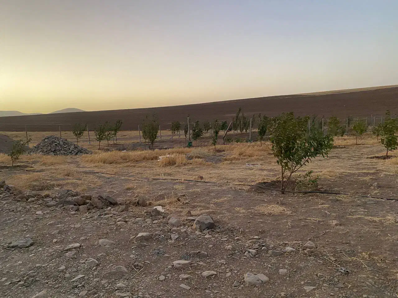 2قطعه زمین خونه باغ در کوسه|فروش زمین و ملک کلنگی|بوکان, |دیوار